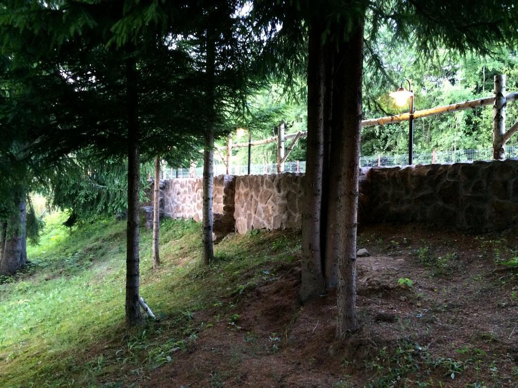 فندق Casa Laur Cu Plaja Privata Colibiţa المظهر الخارجي الصورة